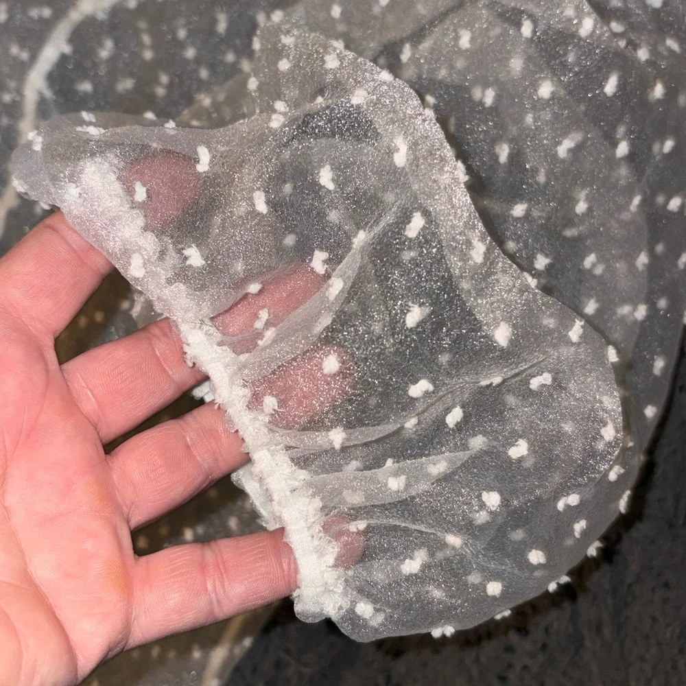 Zara Sheer Polka Dot Blouse